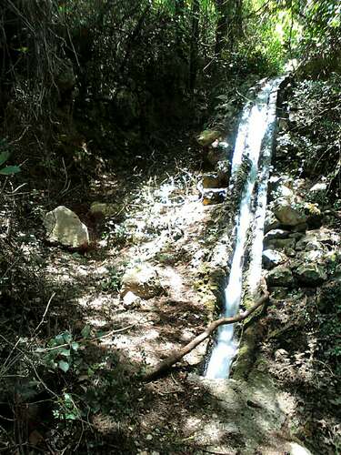 1369425429-picsay.jpg image